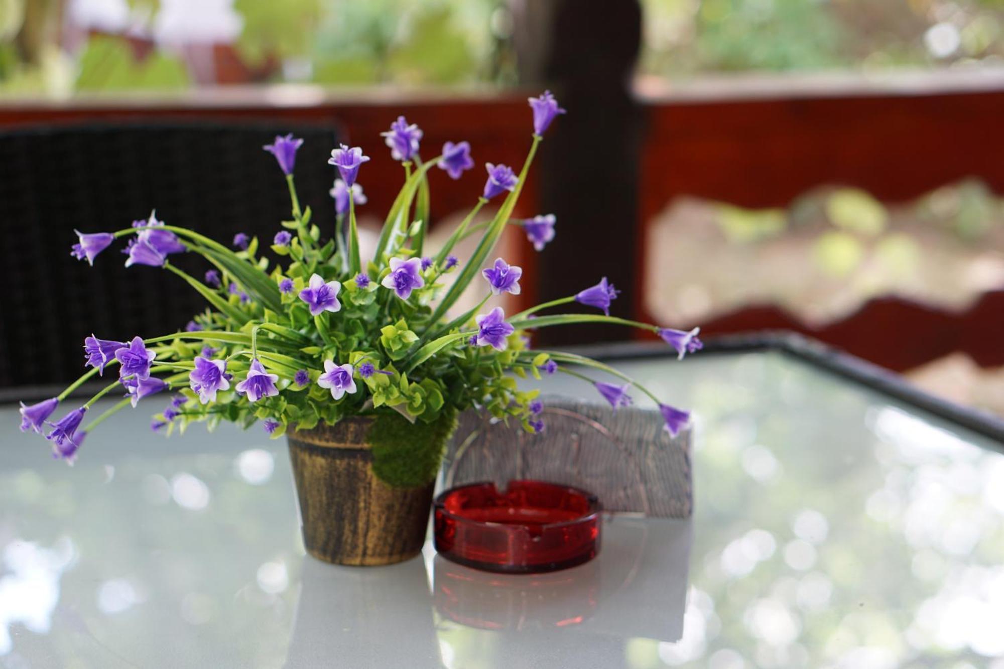 Villa Hanna'S Garden - Mintia Buitenkant foto