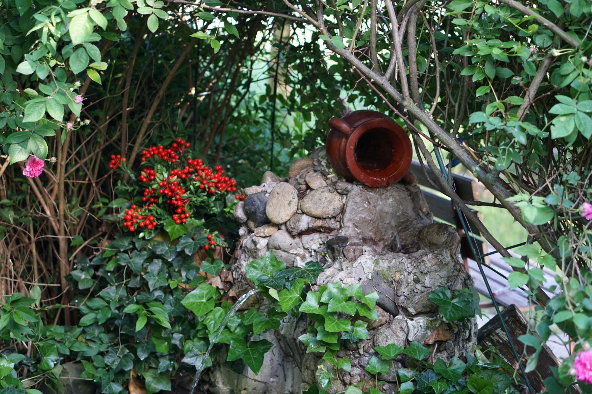Villa Hanna'S Garden - Mintia Buitenkant foto