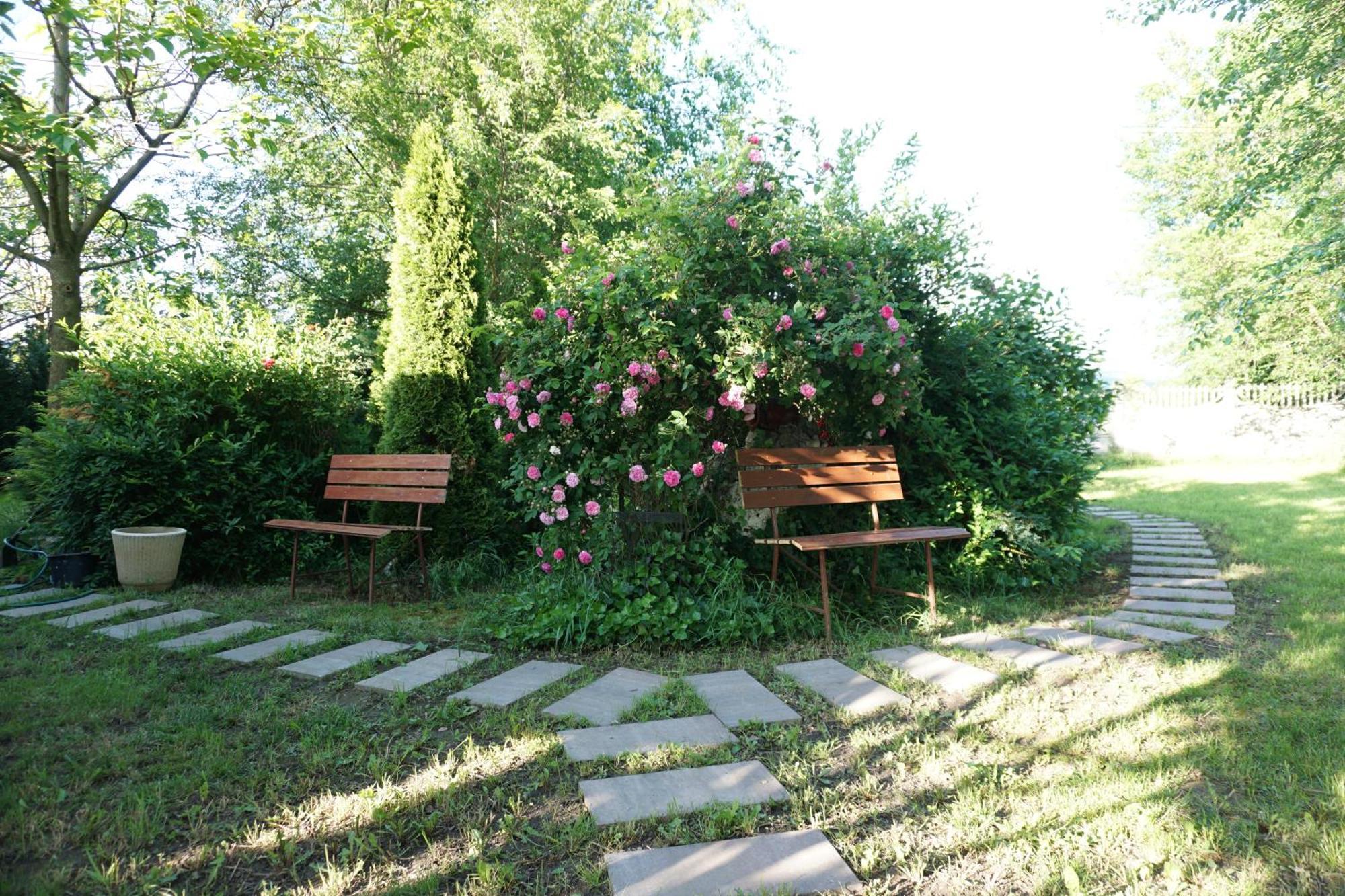 Villa Hanna'S Garden - Mintia Buitenkant foto